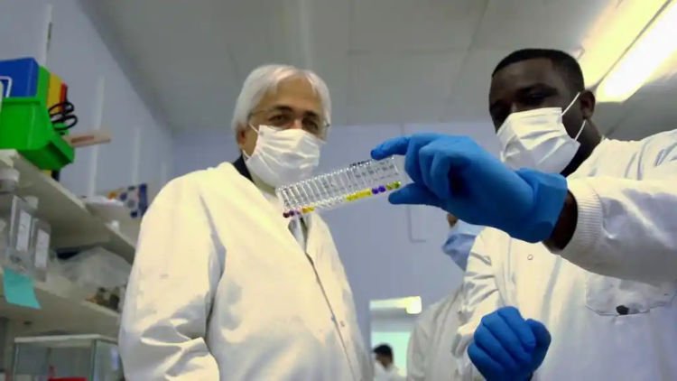Research Development Fellowship