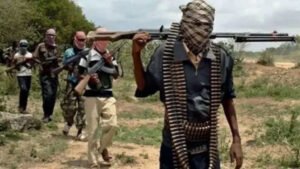 Nigeria Knows How to Find Critics Online. Why Does It Struggle to Find Bandits Counting Ransom Money on TikTok?