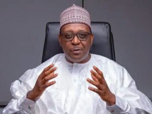 What Sokoto Meningitis Deaths Reveal About Nigeria’s Healthcare System